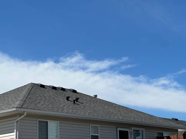 Asphalt Shingles Roofing in Kenmore, NY